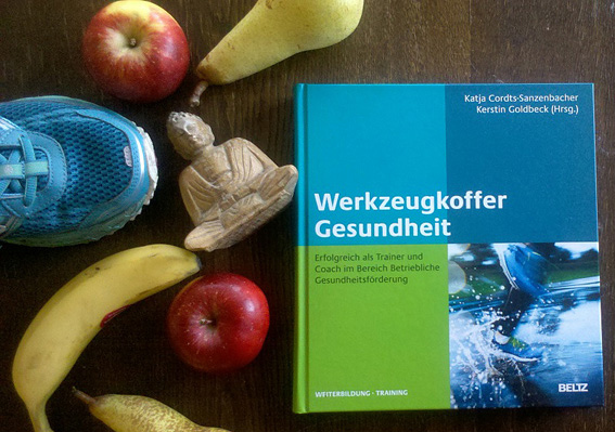 Werkzeugkoffer Gesundheit Buch